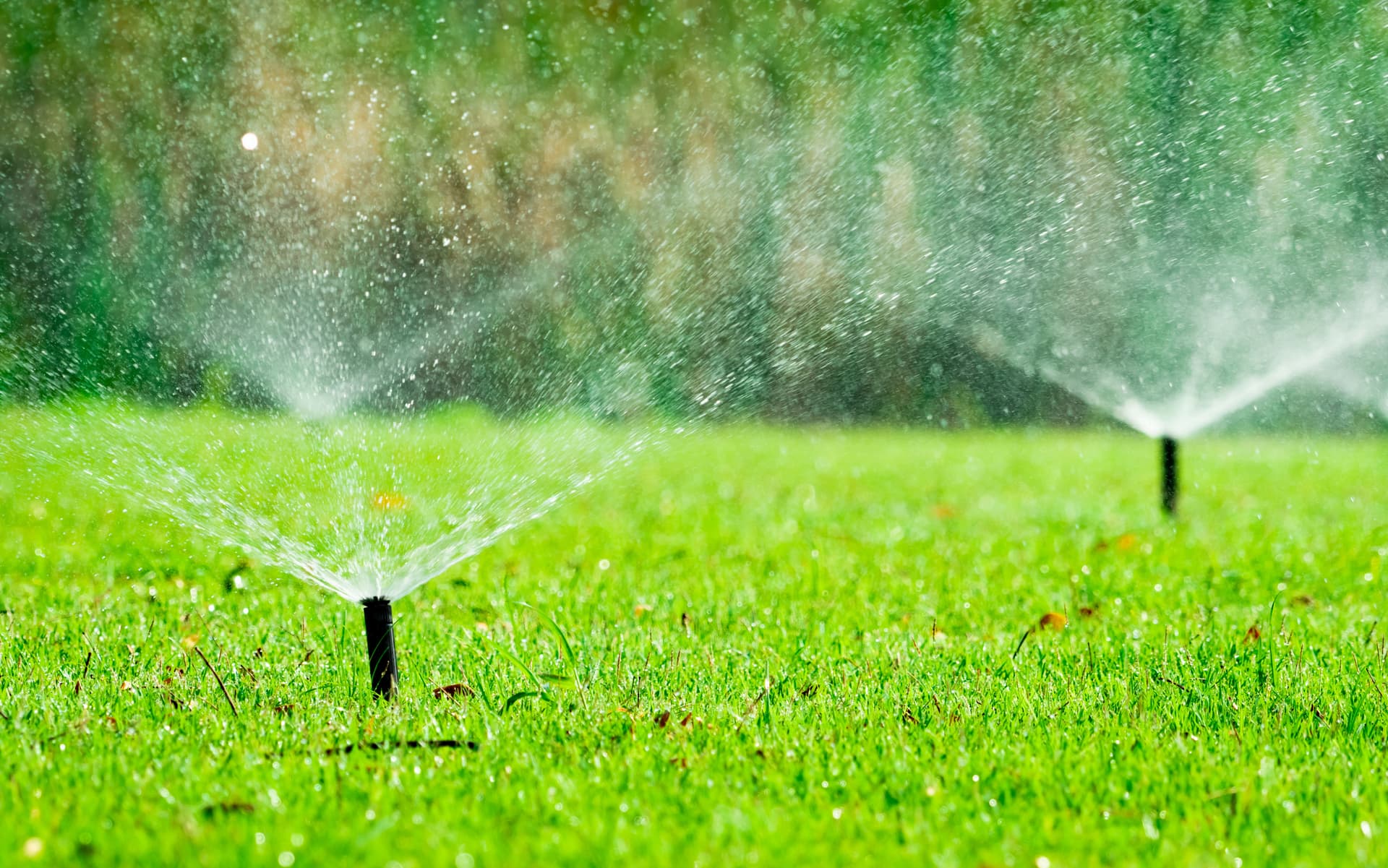 Blog post Irrigation and Sprinklers: The Unsung Heroes of a Thriving Landscape image