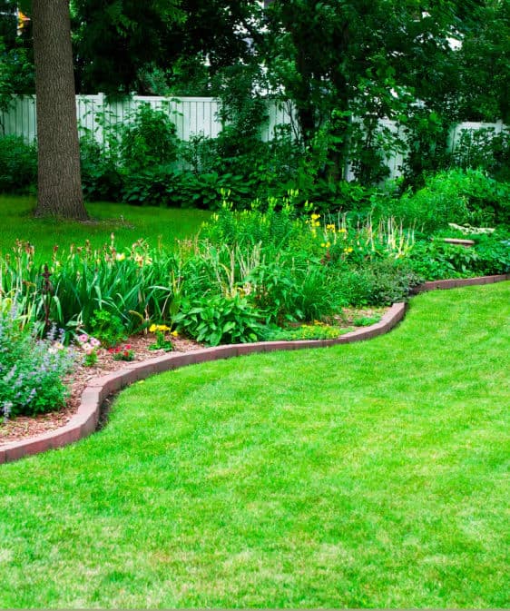 Blog post Late Summer Landscape Chores: Let Us Handle the Heat So You Don’t Have To image