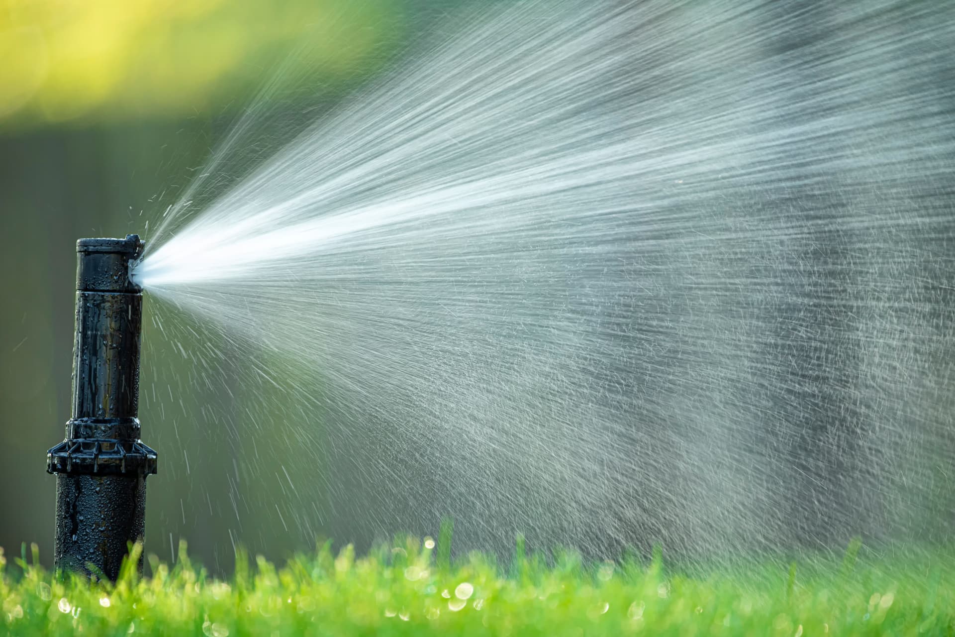 Blog post Your Yard’s Mood Swings? Probably an Irrigation Issue image