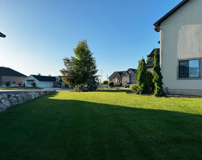 Blog post From Overgrown to Outstanding: Real Stories from Real Clients image