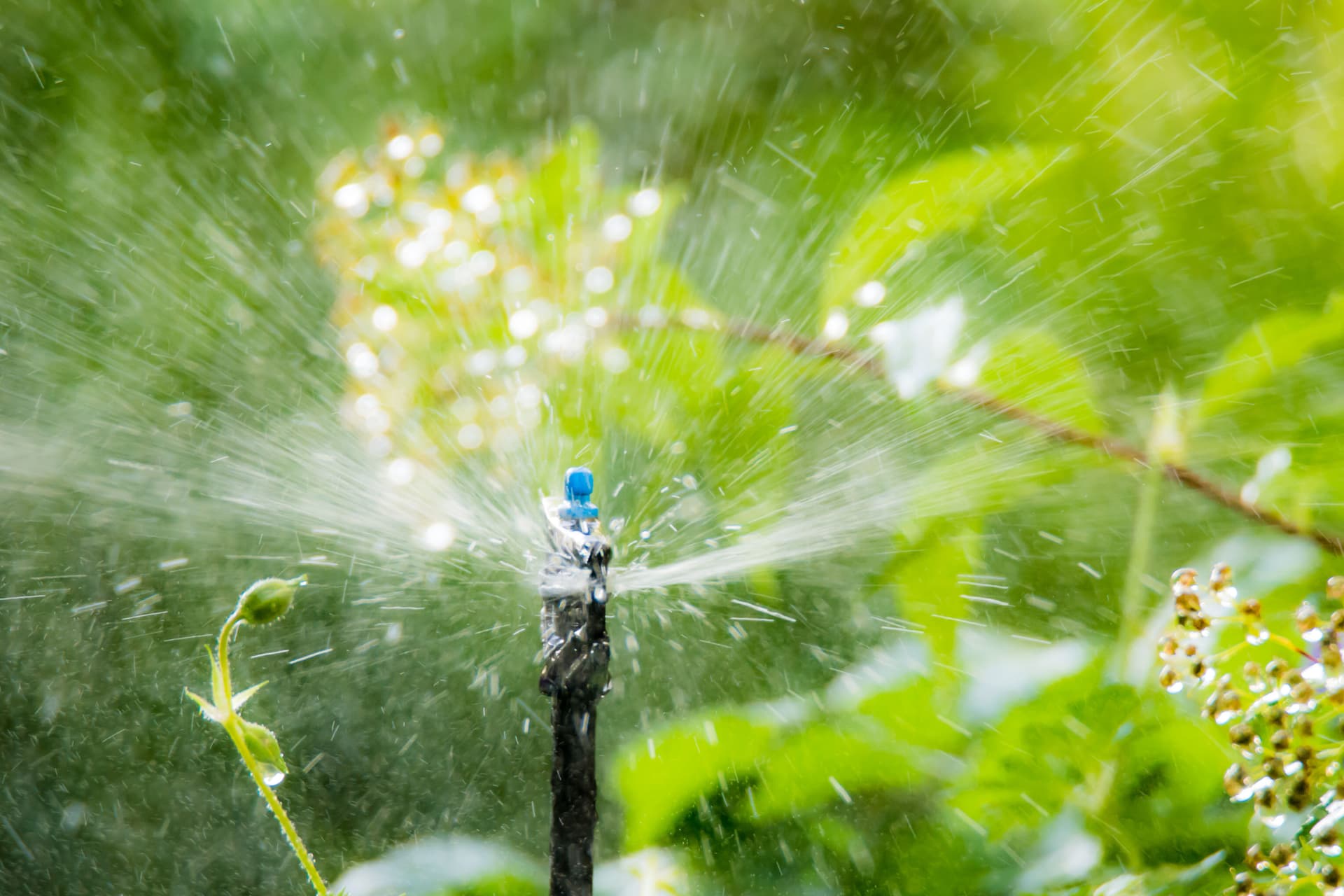 Blog post Winterize Your Irrigation Now — Save Water and Prevent Costly Breaks image